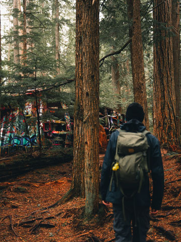 Wanderung Train Wreck Trail in Whistler