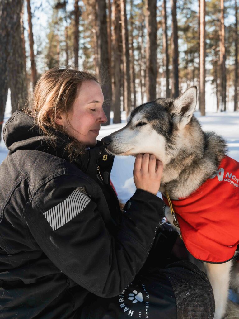 Nachhaltige Husky Tour in Finnisch Lappland