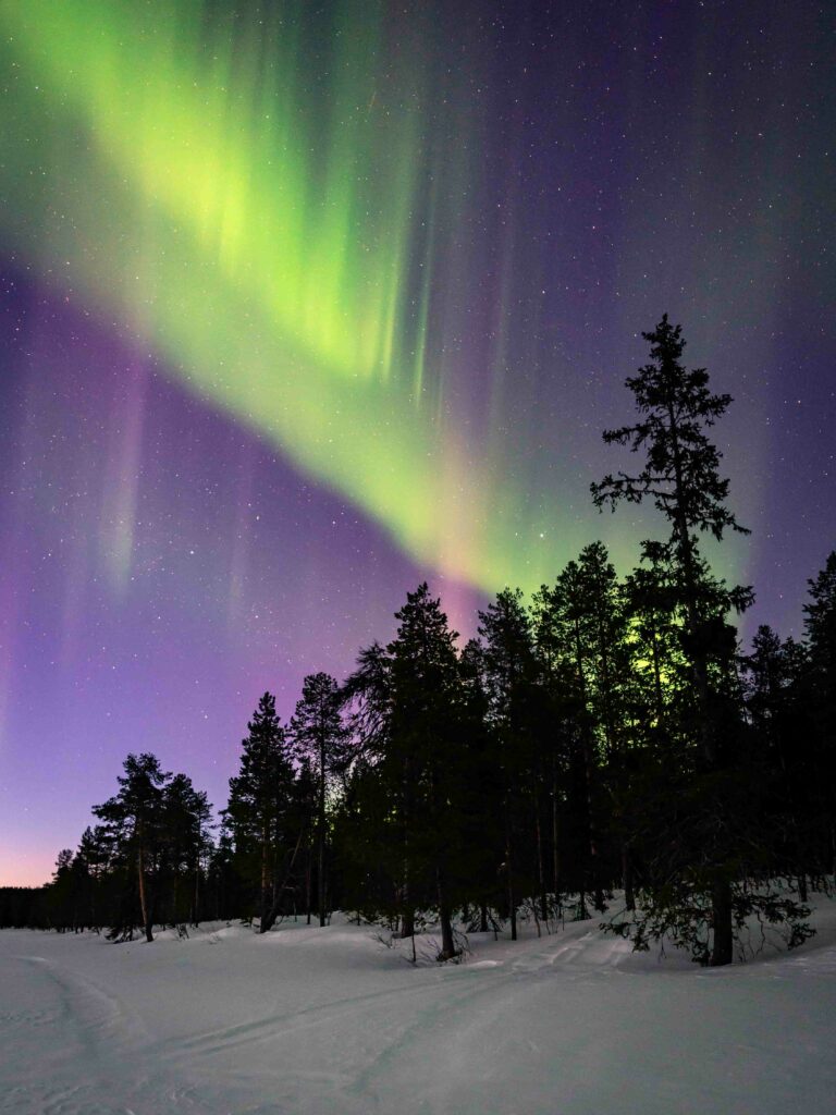 Husky Tour in Finnisch Lappland wunderschöne Nordlichter