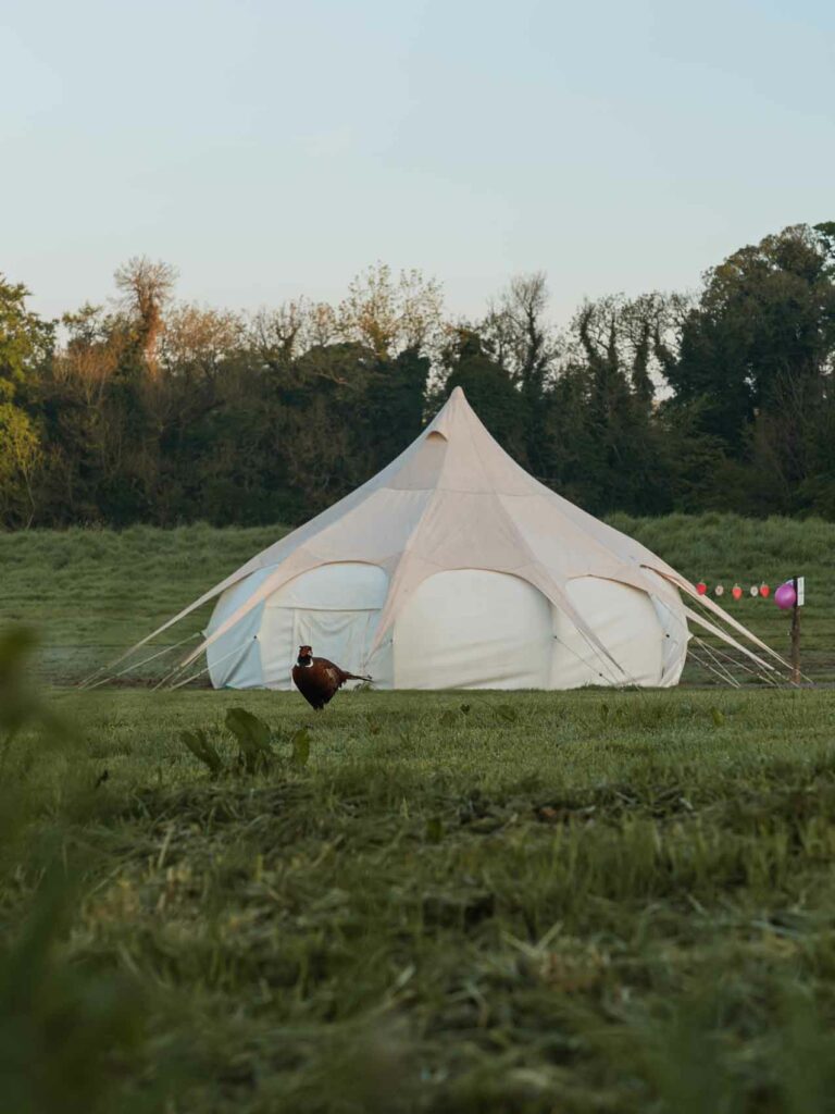 Komfortables Glamping Zelt in Meath mit Fasan