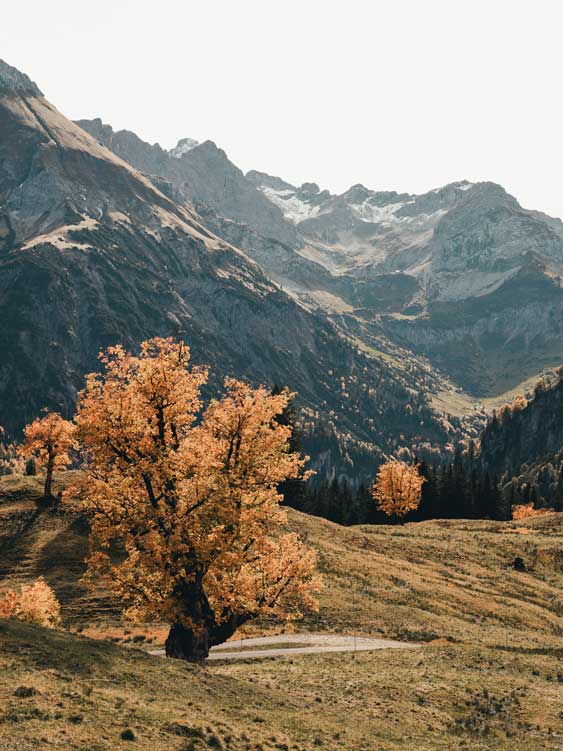 Das Paradies in Hinterstein im Allgäu