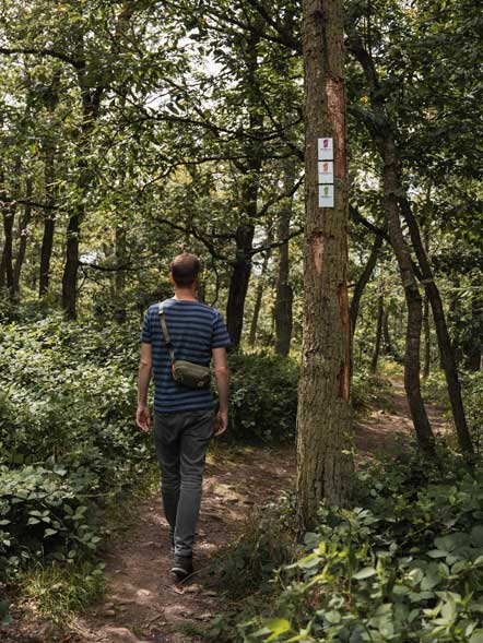 Wanderungen im naturbelassenen Donnersberger Land, Ausflugsziel in der Nähe des Campingplatz Donnersberg